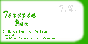 terezia mor business card